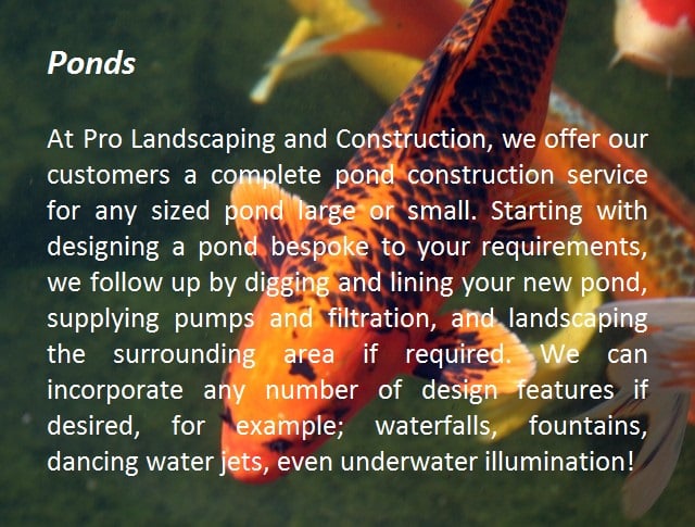 bespoke pond service
