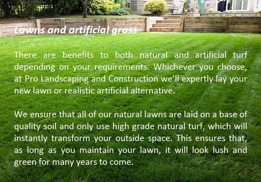 new lawns